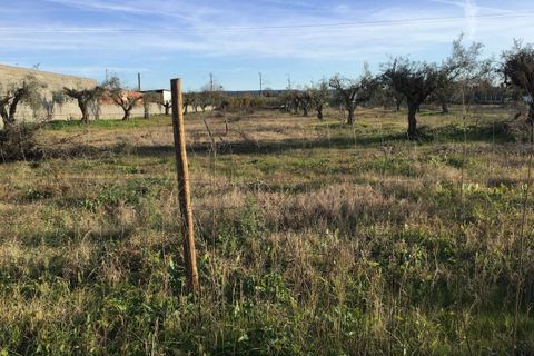 Helårsgrund i Abrantes, Santarem, Abrantes - € 25.000 | Ref: SF-SAFTI:006257 - foto 1