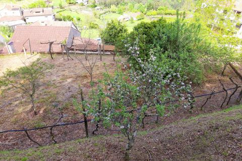 Villa i Melgaco, Viana do Castelo, Melgaco - € 395.000 | Ref: SF-SAFTI:001091 - foto 15