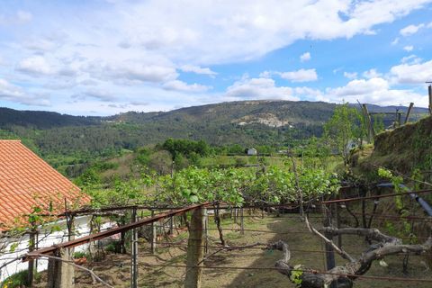 Villa i Melgaco, Viana do Castelo, Melgaco - € 395.000 | Ref: SF-SAFTI:001091 - foto 17