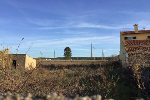 Helårsgrund i Abrantes, Santarem, Abrantes - € 35.000 | Ref: SF-SAFTI:006243 - foto 3