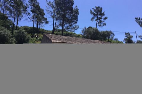 Helårsgrund i Tomar, Santarem, Tomar - € 300.000 | Ref: SF-SAFTI:006205 - foto 8