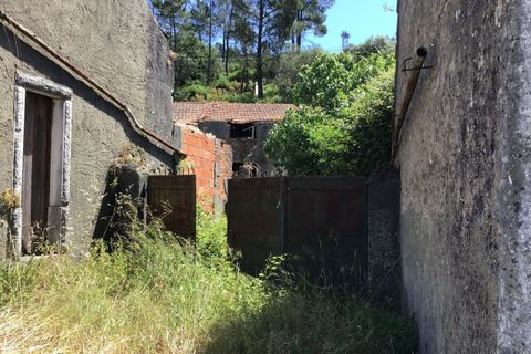 Helårsgrund i Tomar, Santarem, Tomar - € 300.000 | Ref: SF-SAFTI:006205 - foto 10