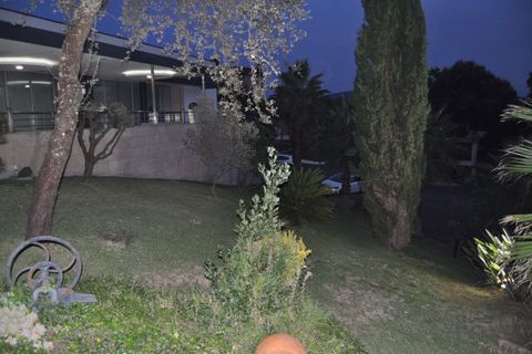 Farm i Braga, Braga, Braga - € 1.900.000 | Ref: SF-SAFTI:006194 - foto 13