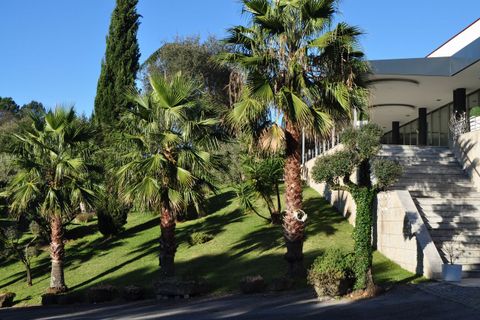 Farm i Braga, Braga, Braga - € 1.900.000 | Ref: SF-SAFTI:006194 - foto 21