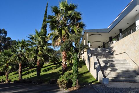 Farm i Braga, Braga, Braga - € 1.900.000 | Ref: SF-SAFTI:006194 - foto 22