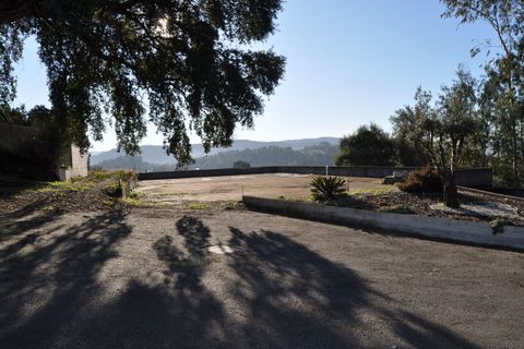 Farm i Braga, Braga, Braga - € 1.900.000 | Ref: SF-SAFTI:006194 - foto 23