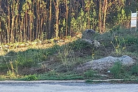 Helårsgrund i Moncao, Viana do Castelo, Moncao - € 30.000 | Ref: SF-SAFTI:002535 - foto 6
