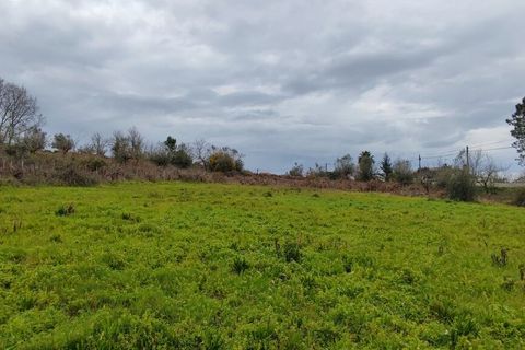 Helårsgrund i Leiria, Leiria, Leiria - € 840.000 | Ref: SF-SAFTI:001739 - foto 1