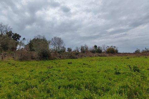 Helårsgrund i Leiria, Leiria, Leiria - € 840.000 | Ref: SF-SAFTI:001739 - foto 2