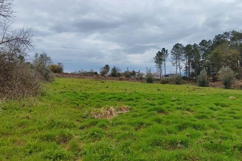 Helårsgrund i Leiria, Leiria, Leiria - € 840.000 | Ref: SF-SAFTI:001739 - foto 3