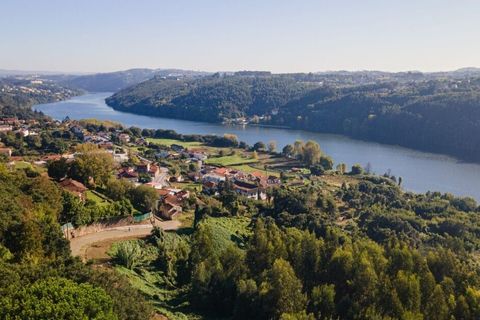 Farm i Gondomar, Porto, Gondomar - € 3.200.000 | Ref: SF-SAFTI:004617 - foto 5