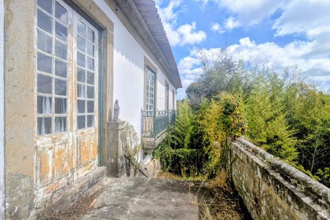 Farm i Gondomar, Porto, Gondomar - € 3.200.000 | Ref: SF-SAFTI:004617 - foto 2
