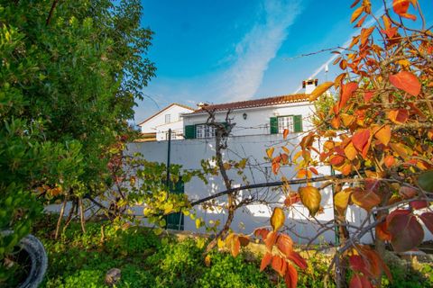 Granja a Casevel e Vaqueiros, Santarem, Casevel e Vaqueiros - € 485.000 | Ref: SF-SAFTI:006137 - foto 2