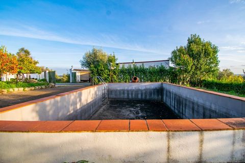 Granja a Casevel e Vaqueiros, Santarem, Casevel e Vaqueiros - € 485.000 | Ref: SF-SAFTI:006137 - foto 7