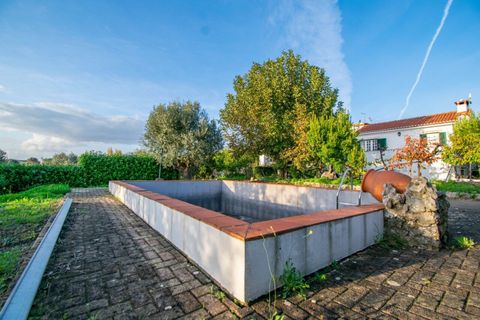 Granja a Casevel e Vaqueiros, Santarem, Casevel e Vaqueiros - € 485.000 | Ref: SF-SAFTI:006137 - foto 9