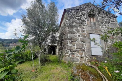 Farm i Ceivaes e Badim, Viana do Castelo, Ceivaes e Badim - € 85.000 | Ref: SF-SAFTI:003669 - foto 2