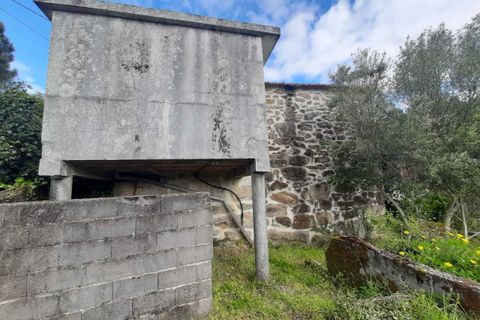 Farm i Ceivaes e Badim, Viana do Castelo, Ceivaes e Badim - € 85.000 | Ref: SF-SAFTI:003669 - foto 8