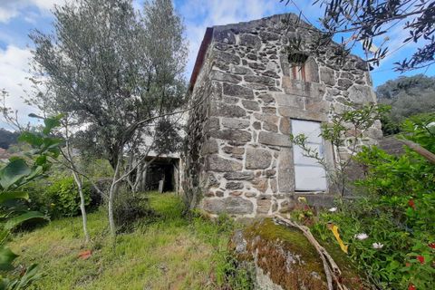 Farm i Ceivaes e Badim, Viana do Castelo, Ceivaes e Badim - € 85.000 | Ref: SF-SAFTI:003669 - foto 9