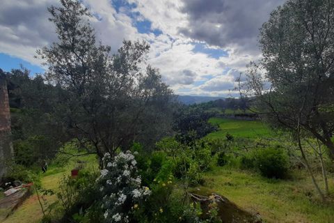 Farm i Ceivaes e Badim, Viana do Castelo, Ceivaes e Badim - € 85.000 | Ref: SF-SAFTI:003669 - foto 10