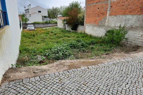 Helårsgrund i Nisa, Portalegre, Nisa - € 25.000 | Ref: SF-SAFTI:001061 - foto 3