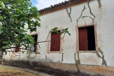 Farm i Portalegre, Portalegre, Portalegre - € 150.000 | Ref: SF-SAFTI:006552 - foto 1
