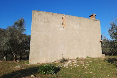 Farm i Portalegre, Portalegre, Portalegre - € 150.000 | Ref: SF-SAFTI:006552 - foto 4