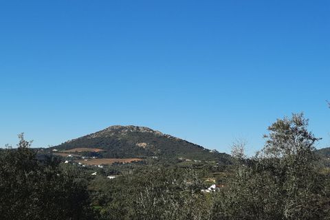 Farm i Portalegre, Portalegre, Portalegre - € 150.000 | Ref: SF-SAFTI:006552 - foto 2