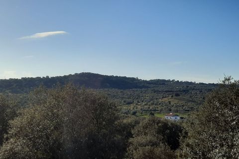 Farm i Portalegre, Portalegre, Portalegre - € 150.000 | Ref: SF-SAFTI:006552 - foto 5
