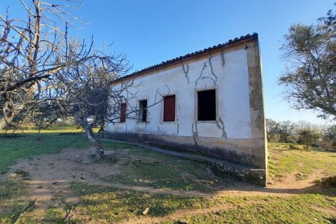 Farm i Portalegre, Portalegre, Portalegre - € 150.000 | Ref: SF-SAFTI:006552 - foto 6
