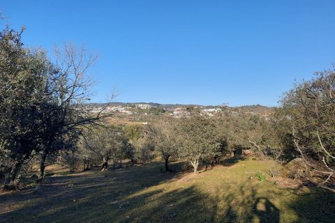 Farm i Portalegre, Portalegre, Portalegre - € 150.000 | Ref: SF-SAFTI:006552 - foto 7