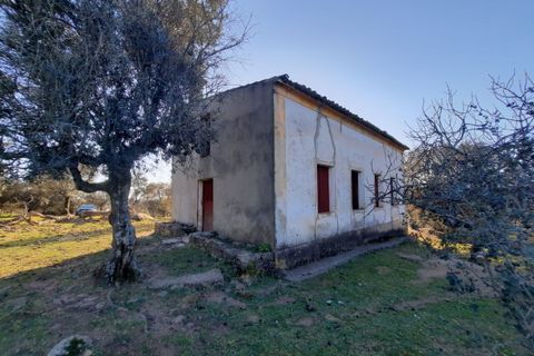 Farm i Portalegre, Portalegre, Portalegre - € 150.000 | Ref: SF-SAFTI:006552 - foto 8