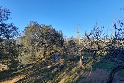 Farm i Portalegre, Portalegre, Portalegre - € 150.000 | Ref: SF-SAFTI:006552 - foto 17