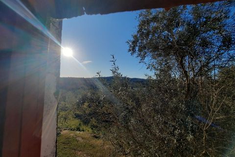 Farm i Portalegre, Portalegre, Portalegre - € 150.000 | Ref: SF-SAFTI:006552 - foto 22