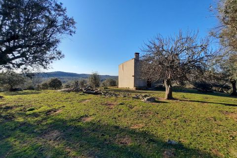 Farm i Portalegre, Portalegre, Portalegre - € 150.000 | Ref: SF-SAFTI:006552 - foto 23