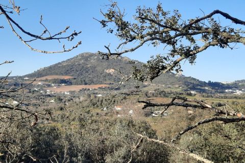 Farm i Portalegre, Portalegre, Portalegre - € 150.000 | Ref: SF-SAFTI:006552 - foto 24