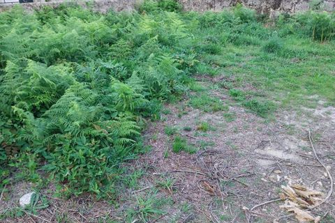Villa i Moncao, Viana do Castelo, Moncao - € 75.000 | Ref: SF-SAFTI:003961 - foto 10