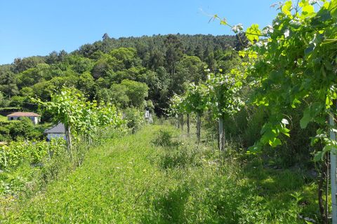 Villa i Melgaco, Viana do Castelo, Melgaco - € 140.000 | Ref: SF-SAFTI:005986 - foto 2