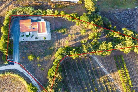 Villa i Alcobaca, Leiria, Alcobaca - € 650.000 | Ref: SF-SAFTI:003771 - foto 9