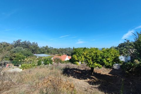 Villa i Soure, Coimbra, Soure - € 50.000 | Ref: SF-SAFTI:006432 - foto 13