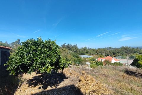 Villa i Soure, Coimbra, Soure - € 50.000 | Ref: SF-SAFTI:006432 - foto 14