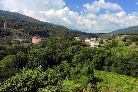 Villa i Melgaco, Viana do Castelo, Melgaco - € 140.000 | Ref: SF-SAFTI:005447 - foto 10