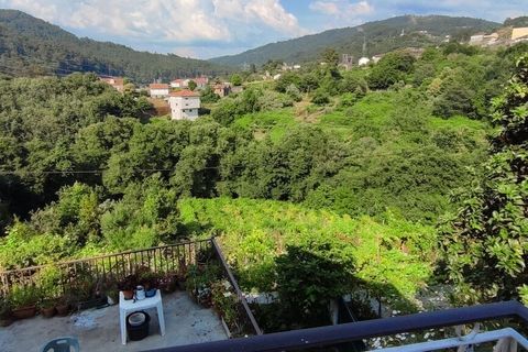 Villa i Melgaco, Viana do Castelo, Melgaco - € 140.000 | Ref: SF-SAFTI:005447 - foto 24