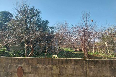 Helårsgrund i Bela, Viana do Castelo, Bela - € 95.000 | Ref: SF-SAFTI:005937 - foto 2