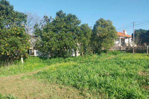 Helårsgrund i Bela, Viana do Castelo, Bela - € 95.000 | Ref: SF-SAFTI:005937 - foto 3