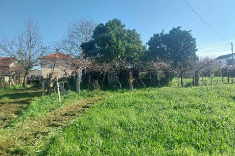 Helårsgrund i Bela, Viana do Castelo, Bela - € 95.000 | Ref: SF-SAFTI:005937 - foto 5