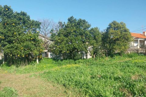 Helårsgrund i Bela, Viana do Castelo, Bela - € 95.000 | Ref: SF-SAFTI:005937 - foto 6