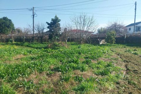 Helårsgrund i Bela, Viana do Castelo, Bela - € 95.000 | Ref: SF-SAFTI:005937 - foto 10