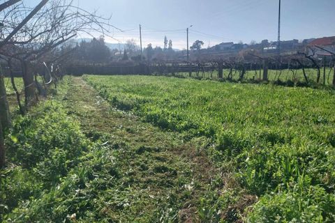 Helårsgrund i Bela, Viana do Castelo, Bela - € 95.000 | Ref: SF-SAFTI:005937 - foto 11