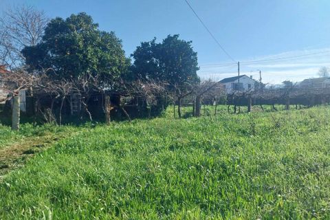 Helårsgrund i Bela, Viana do Castelo, Bela - € 95.000 | Ref: SF-SAFTI:005937 - foto 14