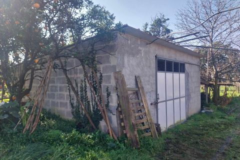 Helårsgrund i Bela, Viana do Castelo, Bela - € 95.000 | Ref: SF-SAFTI:005937 - foto 17